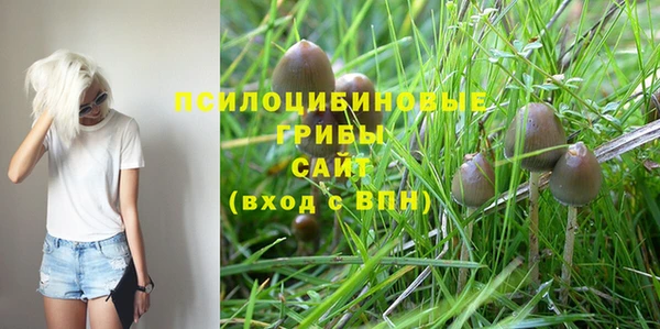 молекула духа Армянск