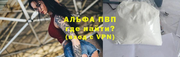 стафф Арсеньев