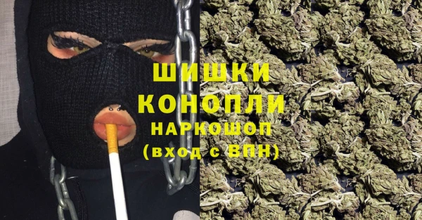 стафф Арсеньев