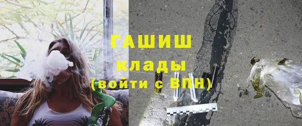 стафф Арсеньев