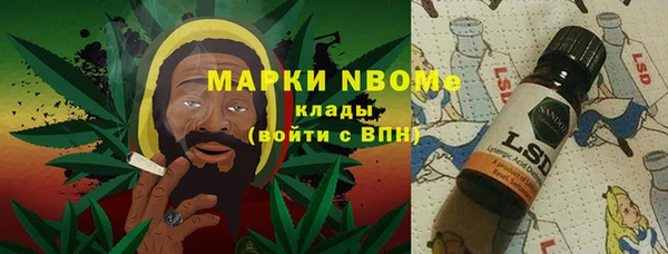 стафф Арсеньев
