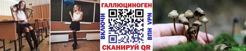 как найти закладки  Углич  Псилоцибиновые грибы Cubensis 